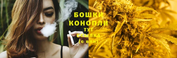 бошки Переславль-Залесский
