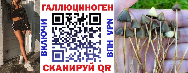 Галлюциногенные грибы GOLDEN TEACHER  магазин продажи   Кунгур 