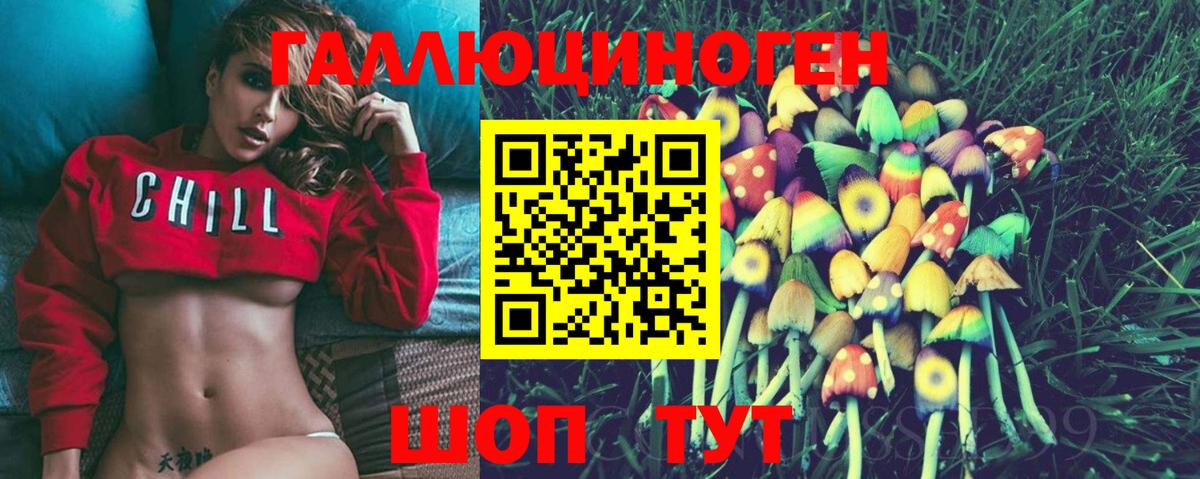 Кунгур  Псилоцибиновые грибы Psilocybe  Вход с VPN 