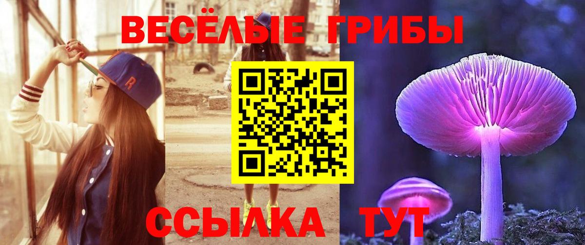 Галлюциногенные грибы Psilocybine cubensis  наркотики  Кунгур 